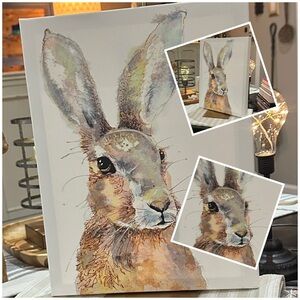 Pier 1 Imports Mounted Animal Art; Canvas Oil Painting of a bunny!